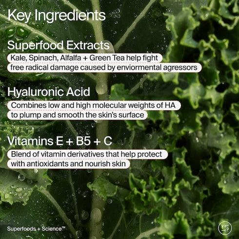 Superfood Air-Whip Lightweight Face Moisturizer with Hyaluronic Acid